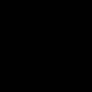 Meet your Posher, Aileen